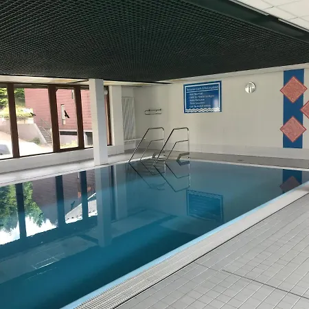 Im Terrassenpark Sasbachwalden 아파트