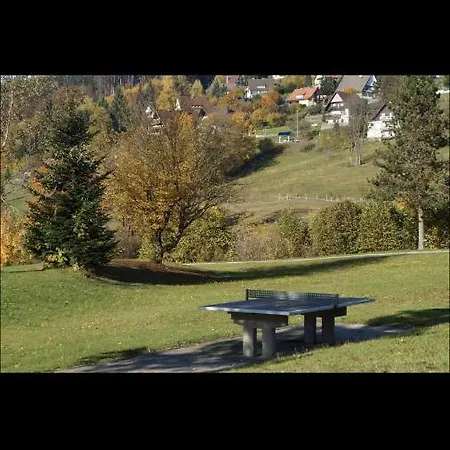 Im Terrassenpark Sasbachwalden Appartement